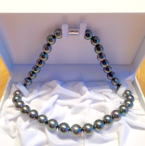 ブラックパール