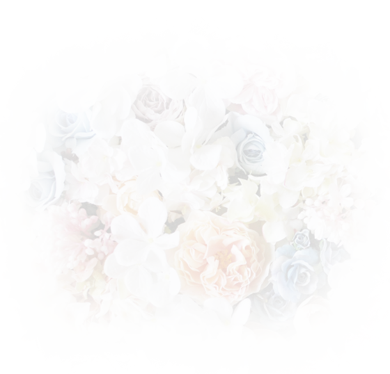 フラワーイメージ